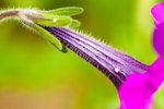 image0004