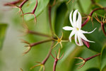 image0005