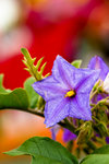 image0007