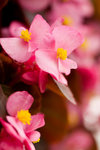 image0008