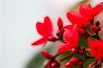 image0010