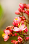 image0011