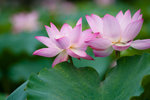 image0001