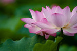 image0002