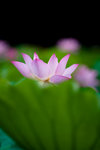 image0003