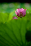 image0004