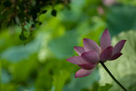 image0005