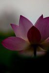 image0006
