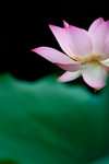 image0007