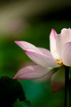 image0008