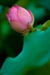 image0009