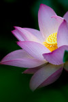 image0019