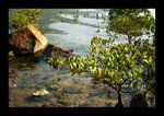 2008 03 02 25