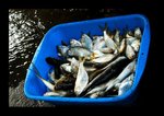 2008 03 02 26
