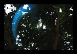 2008 03 02 27