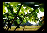 2008 03 02 28