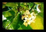 2008 03 02 32
