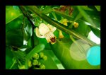 2008 03 02 33