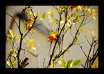 2008 03 02 34