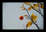 2008 03 02 35
