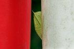 _DSC8850000
