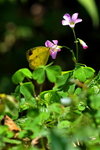 DSC_5827777777