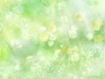 HS010_350As