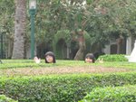 IMG_1321
