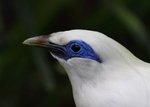 IMG_8792