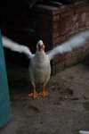 IMG_0828