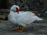 IMG_0840