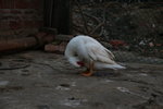 IMG_0847