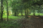 IMG_4519