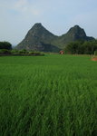 IMG_4521