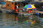 IMG_0081