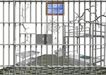 Jail room 