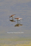Hong Kong Wetland Park 08