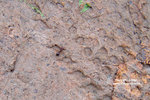 DSC04006