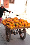DSC_0908 Super yummy papayas