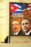 DSC_7783 Obama in Cuba & the Cat