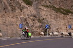 變成騎單車的牧羊人 DSC_0155