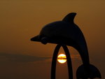 馬灣村的海豚花式跨日 DSCF8163