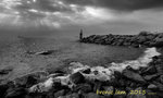 IMG_4636