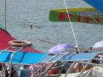 DSCN0160