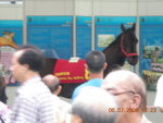 DSCN1684