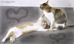 pets 3