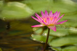 IMG_2031s