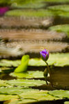 IMG_2032s
