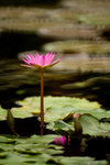 IMG_3981s