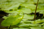 IMG_3983s